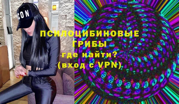 спайс Алексин