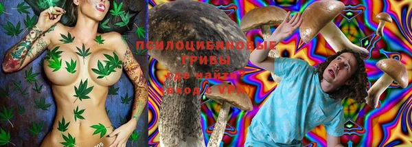 прущий лед Абаза