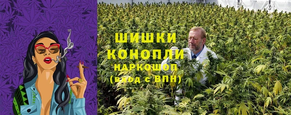 PSILOCYBIN Алексеевка
