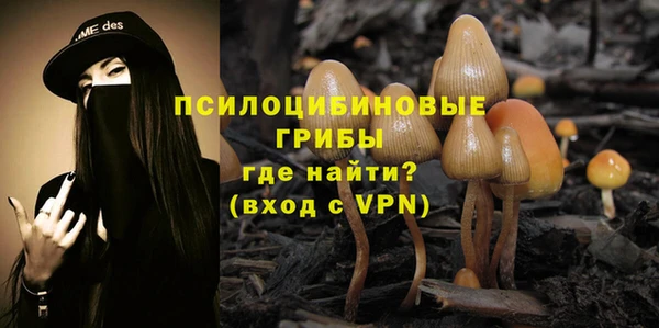 PSILOCYBIN Алексеевка